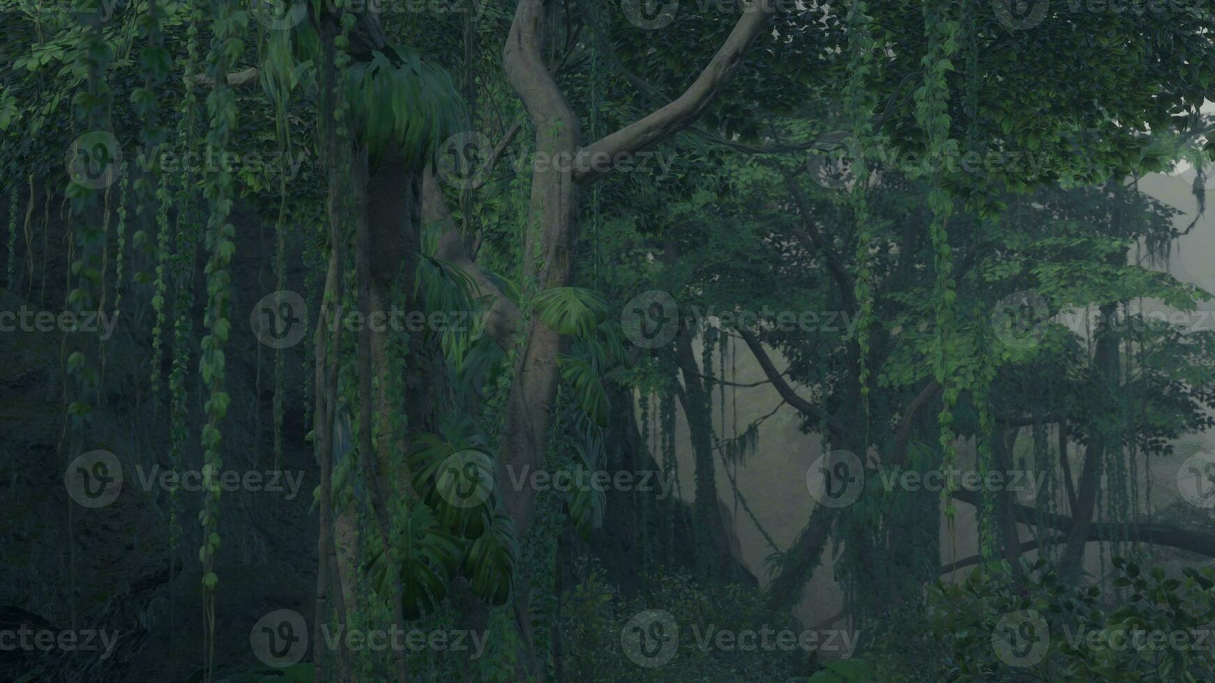 Szene, die direkt in einen dichten tropischen Regenwald blickt foto