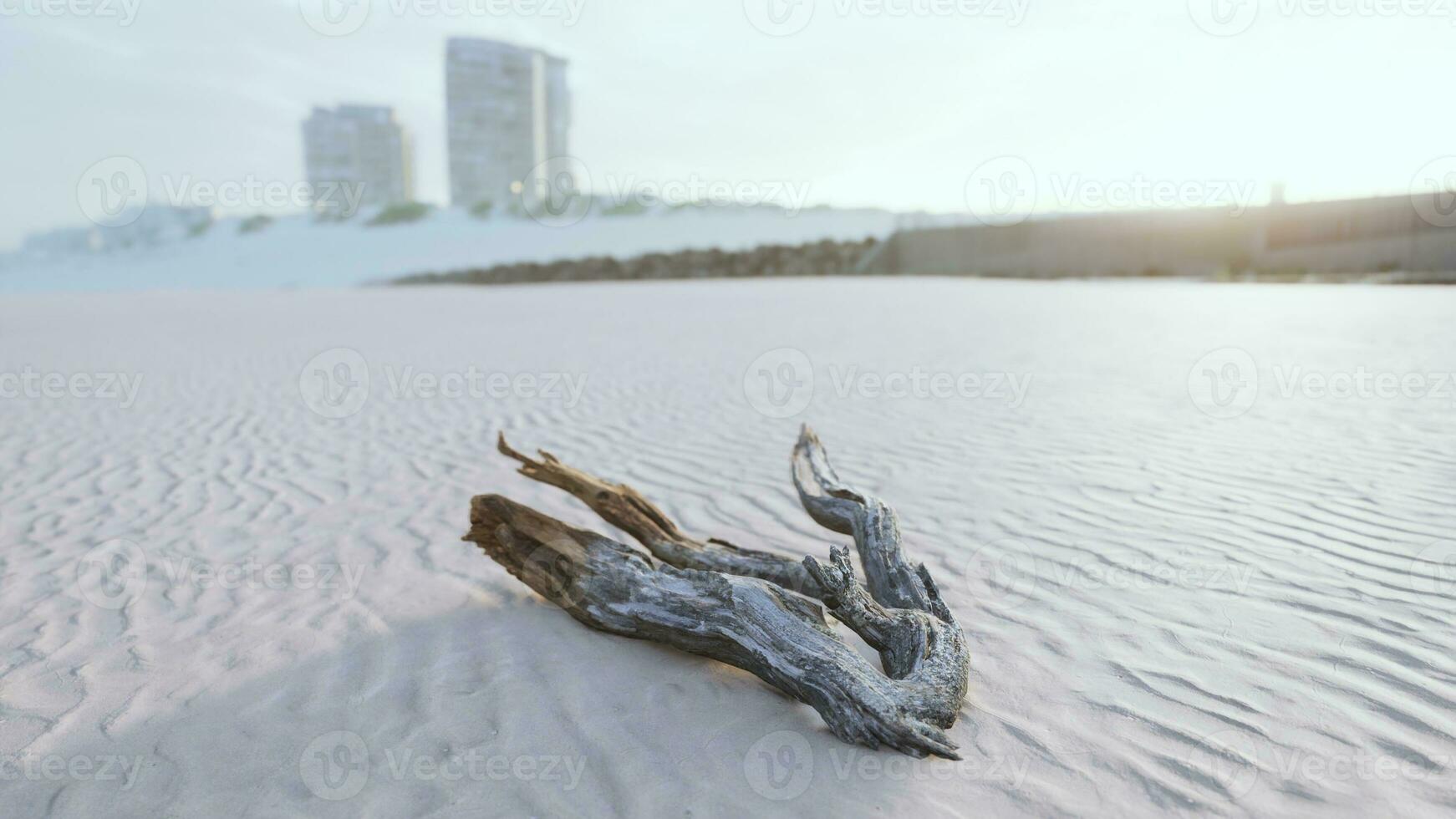 Stück von ein alt Wurzel ist Lügen im das Sand von das Strand foto