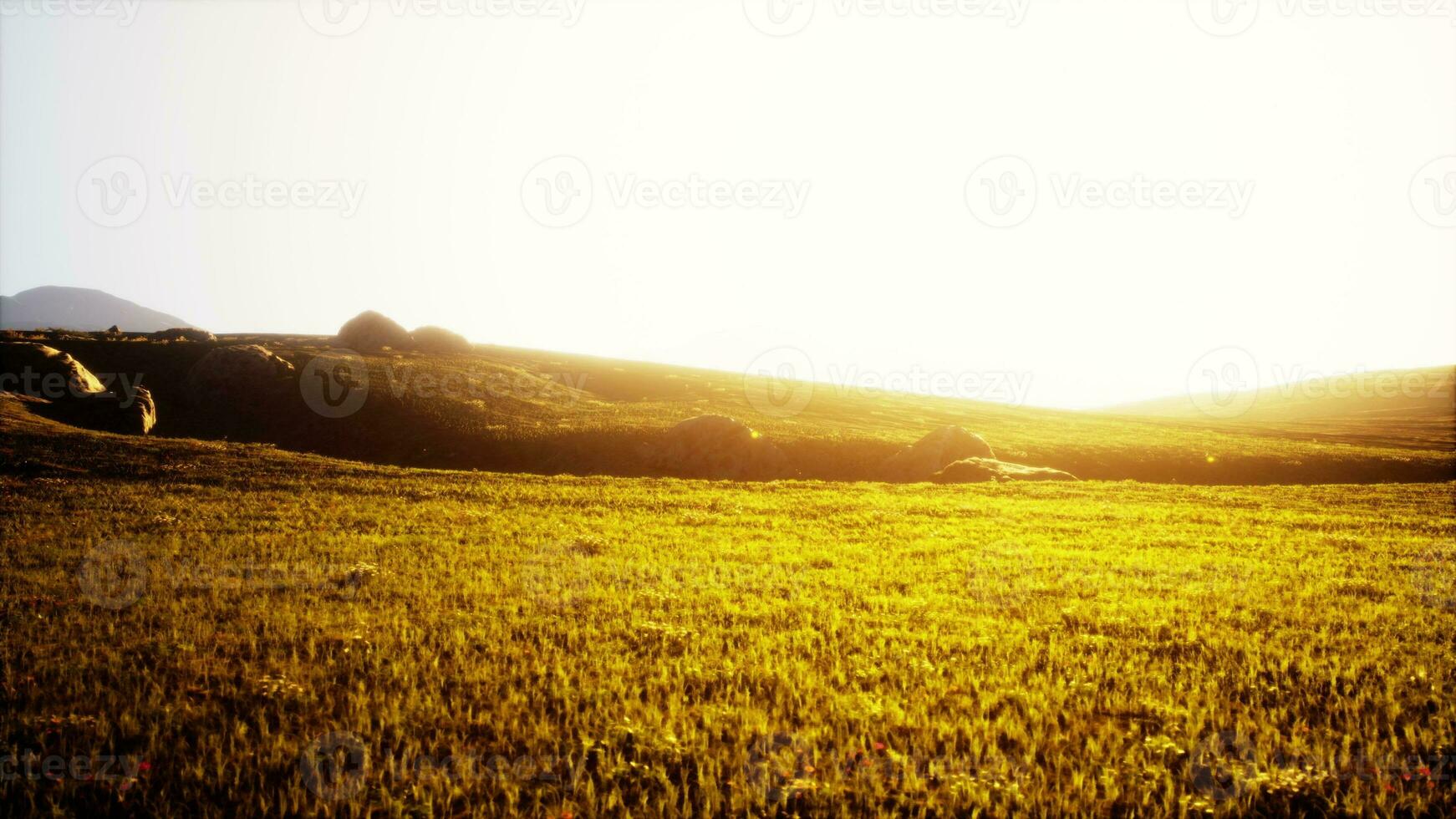 grüne Wiese im Hintergrund der Berge foto