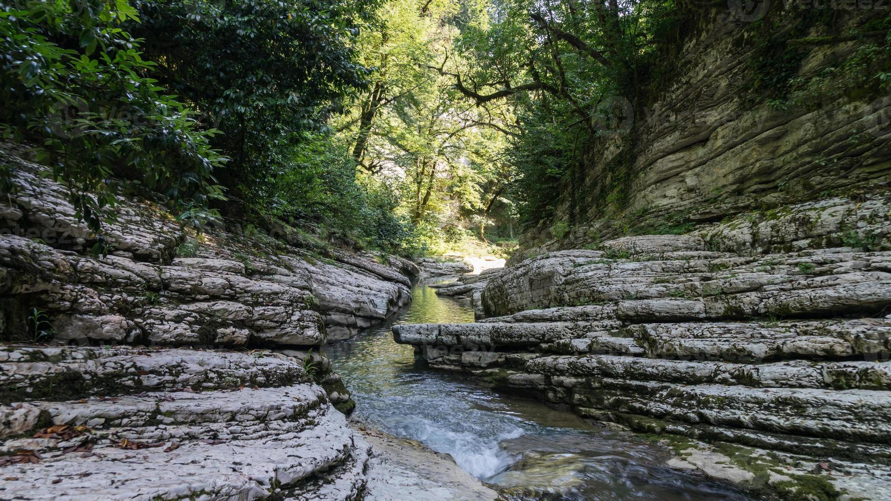 schöner wald und bergfluss in psakho canyon, krasnodar krai, russland. foto