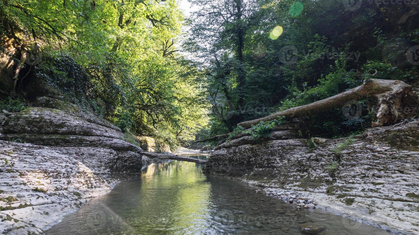 schöner wald und bergfluss in psakho canyon, krasnodar krai, russland. foto