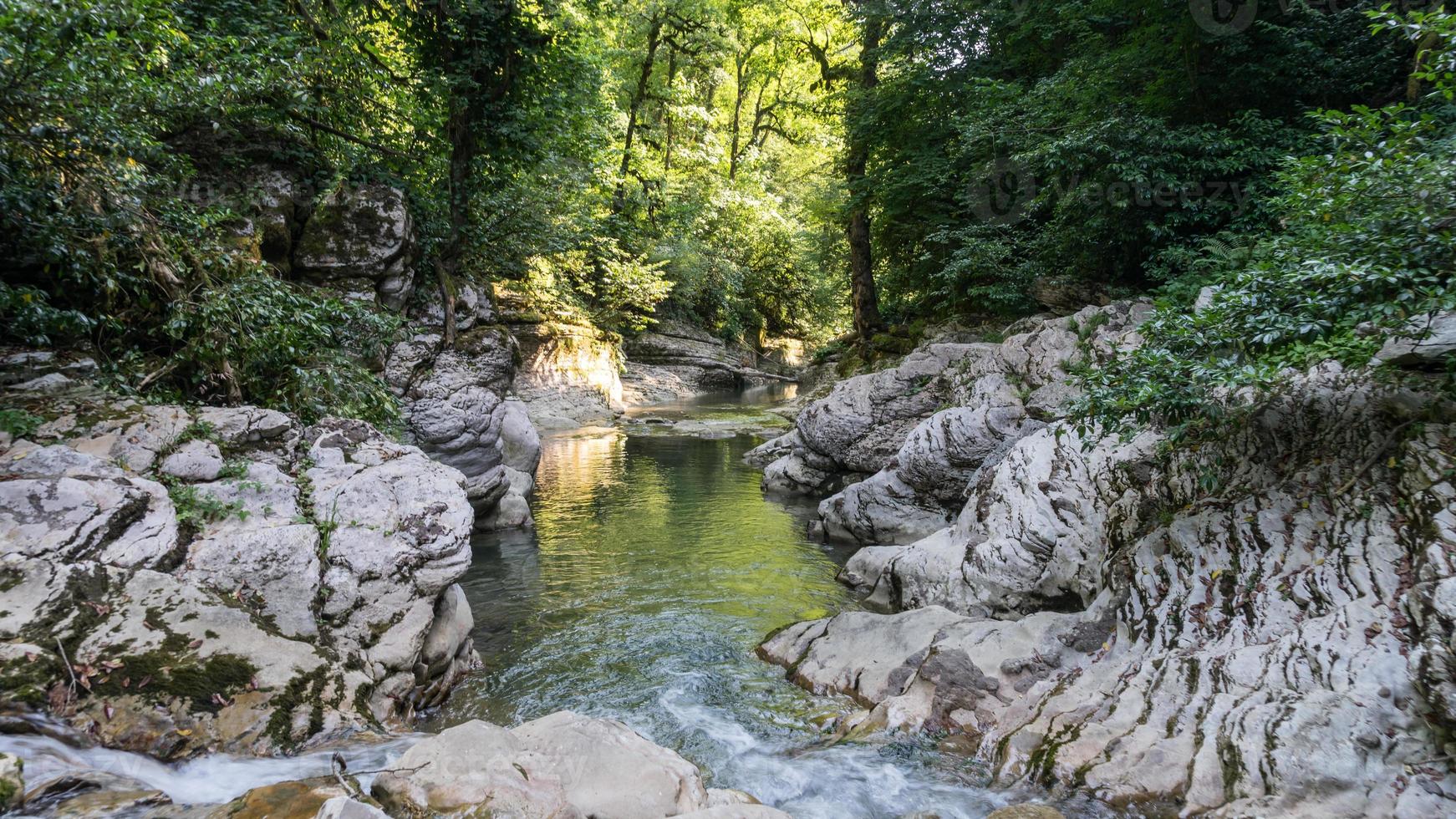 schöner wald und bergfluss in psakho canyon, krasnodar krai, russland. foto