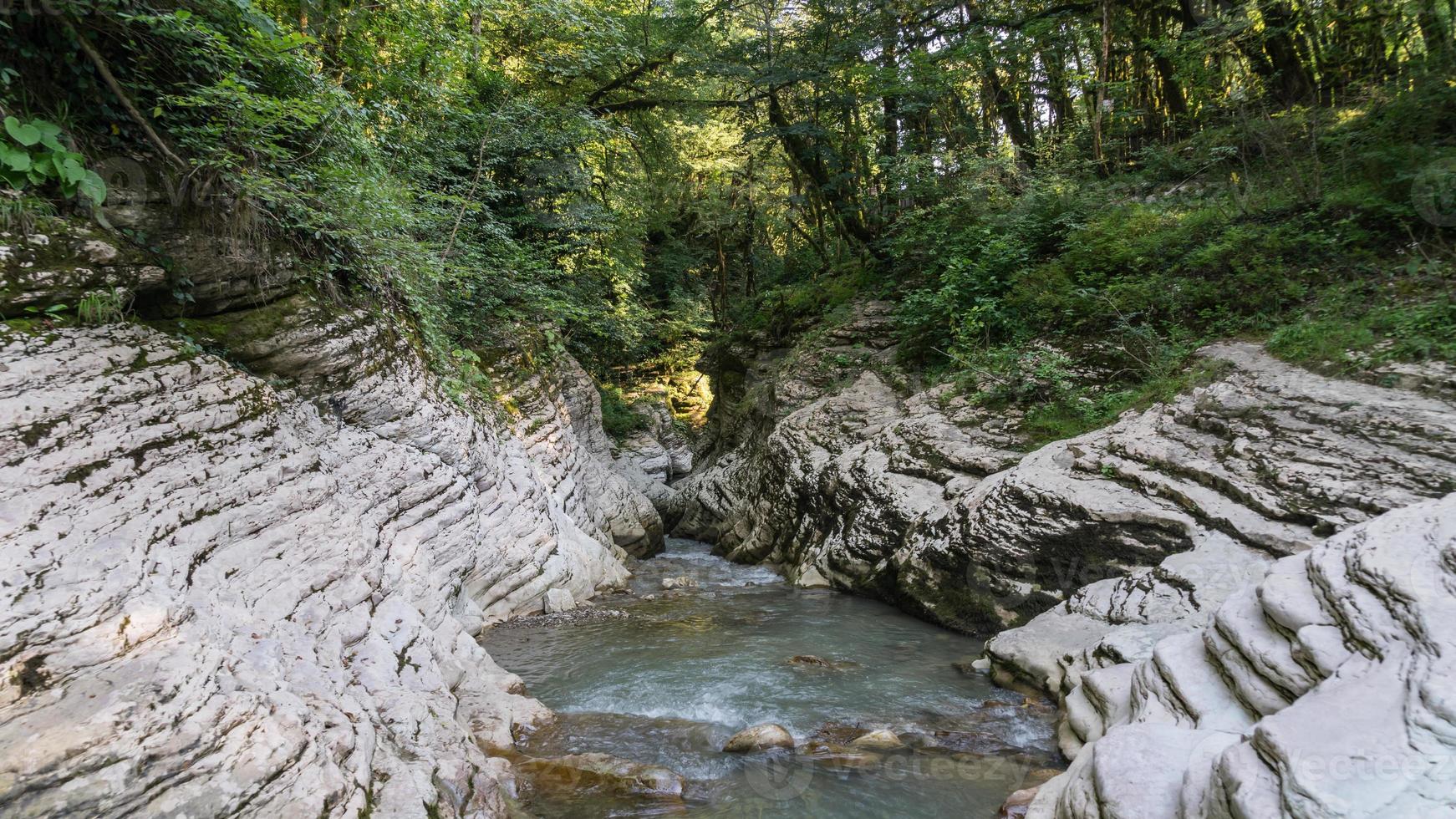 schöner wald und bergfluss in psakho canyon, krasnodar krai, russland. foto