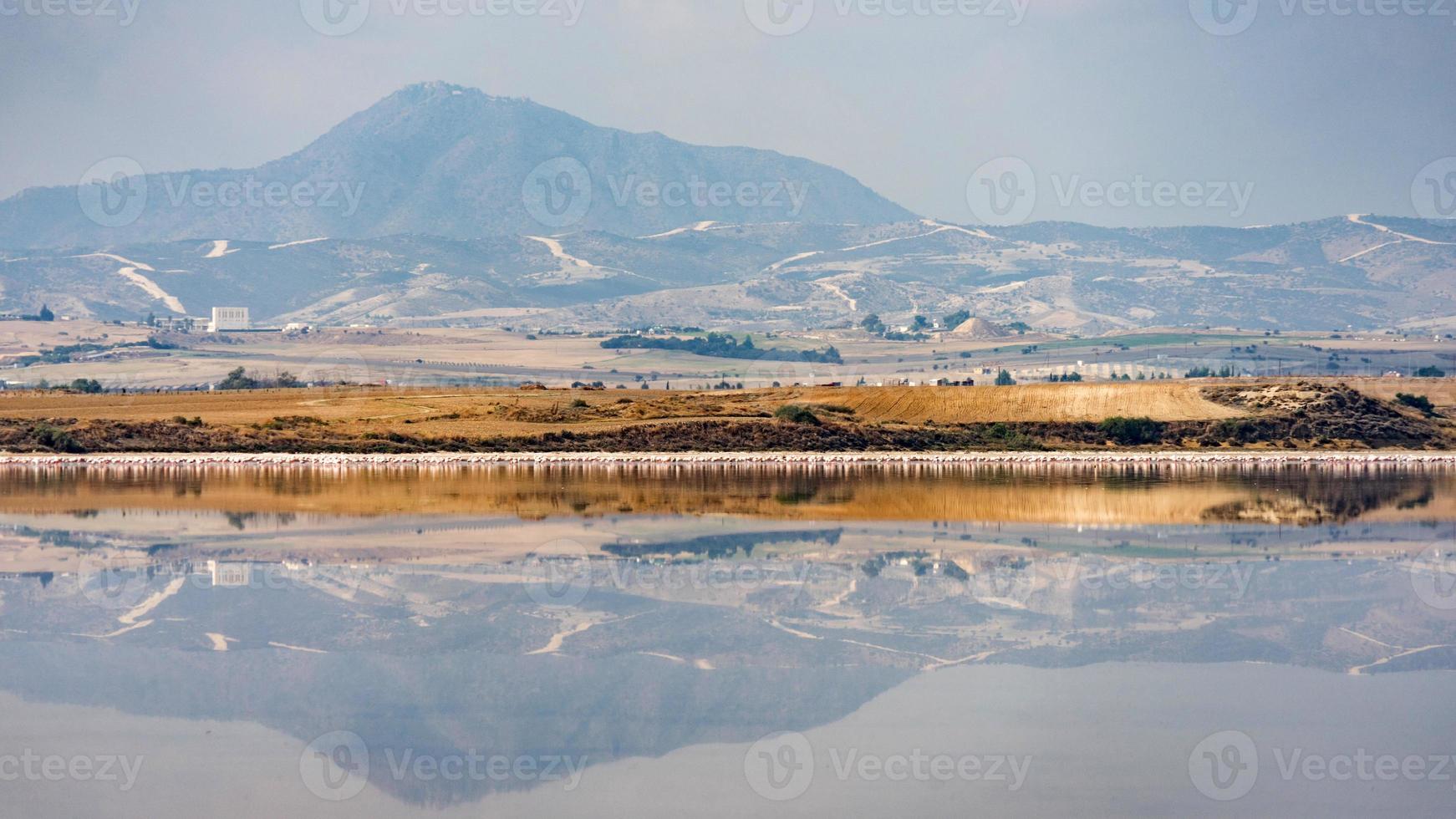 Salzsee von Larnaca mit Flamingos im Hintergrund, Zypern foto