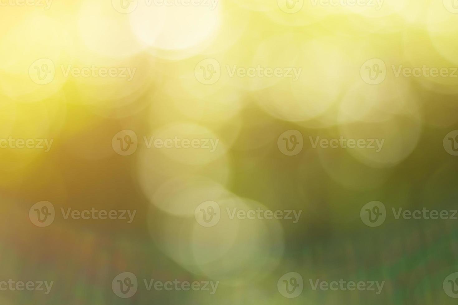 Natürlicher Outdoor-Bokeh-Hintergrund in goldenem Sonnenlicht mit Grün- und Gelbtönen, verschwommenem Licht und Blatthintergrund mit Bokeh foto