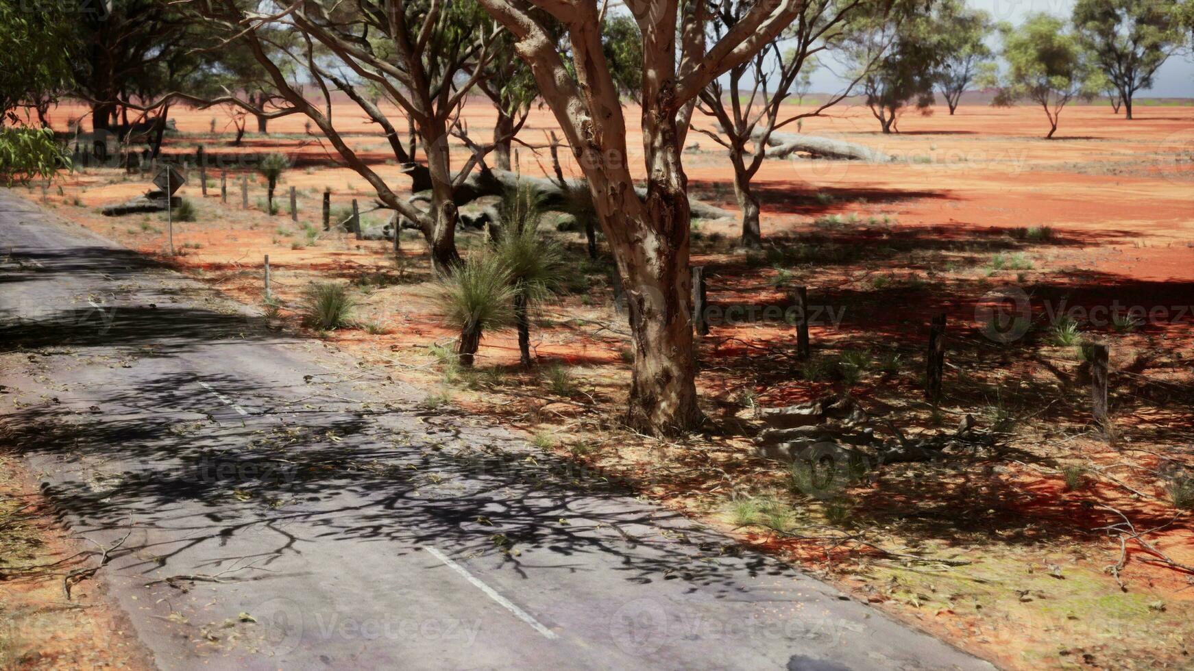 das öffnen Straße im Kimberly von Western Australien foto