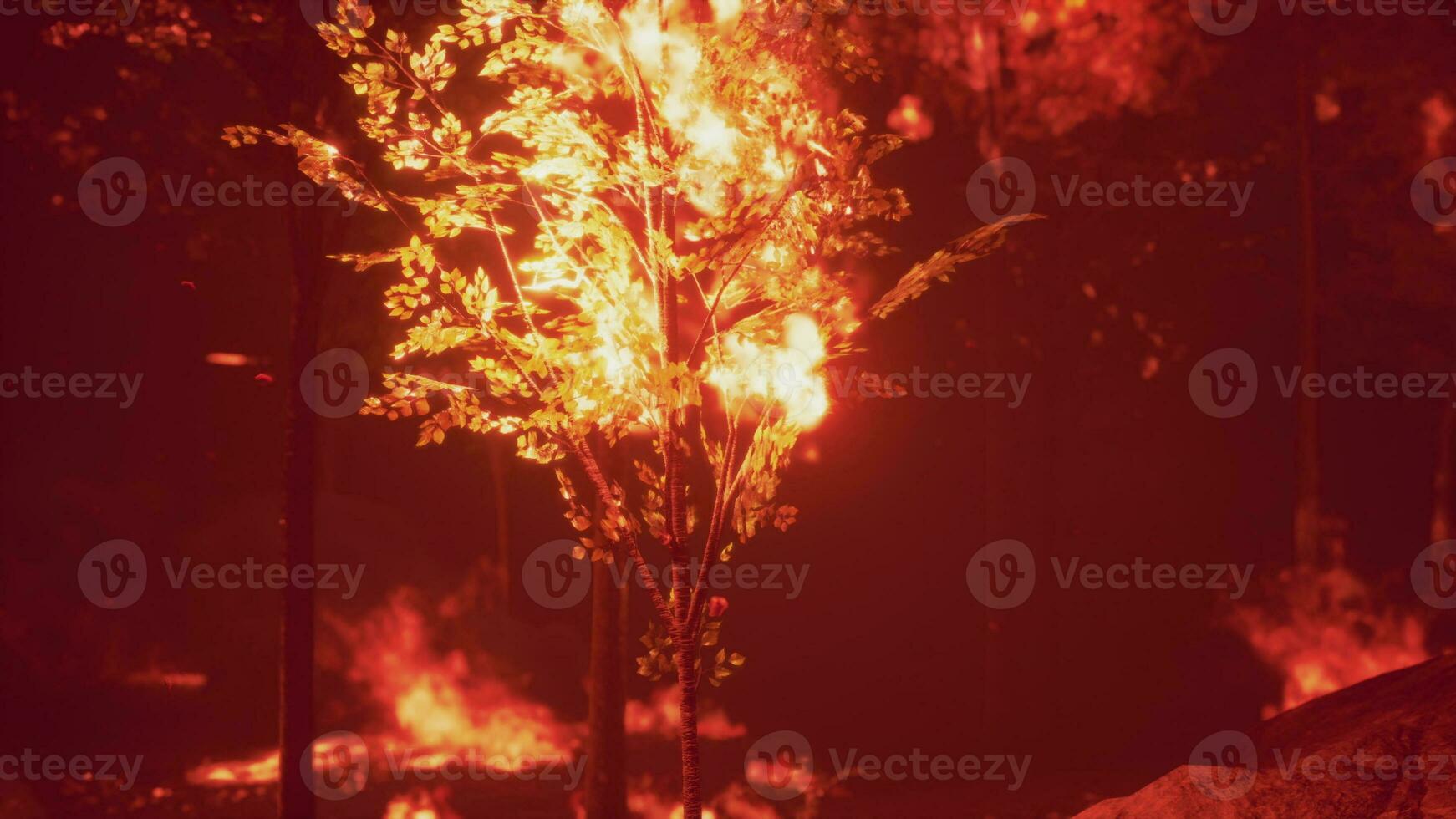 heftig Flammen von ein fest Wald Feuer foto