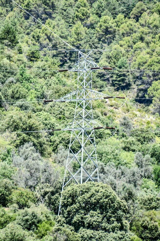 ein elektrisch Leistung Linie im das Wald foto