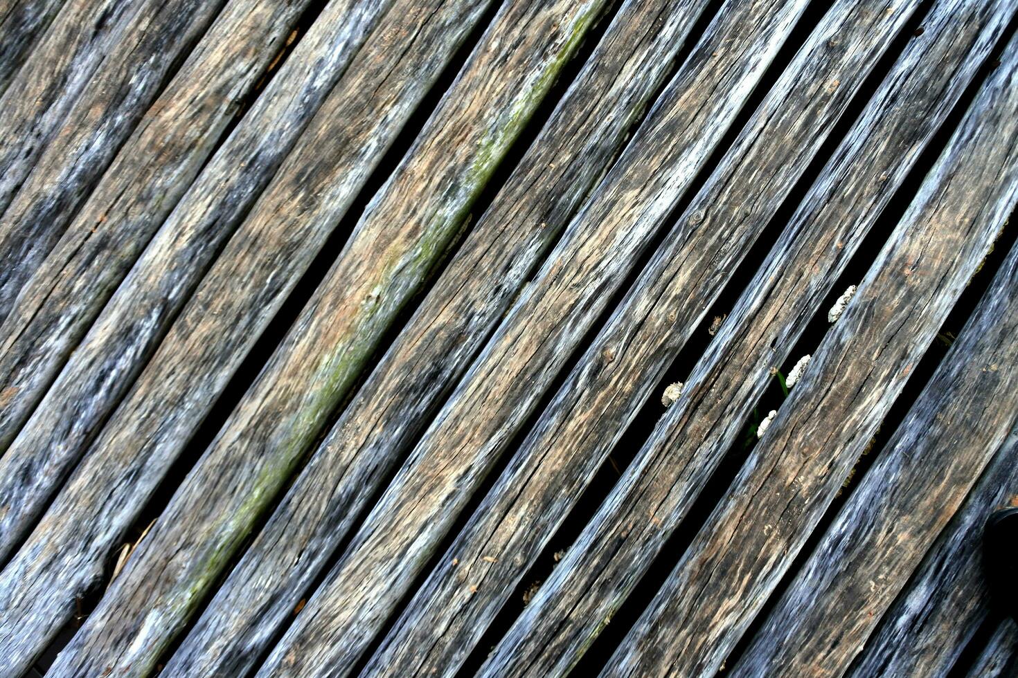 Holz Textur Baum abstrakt Hintergrund Natur organisch foto