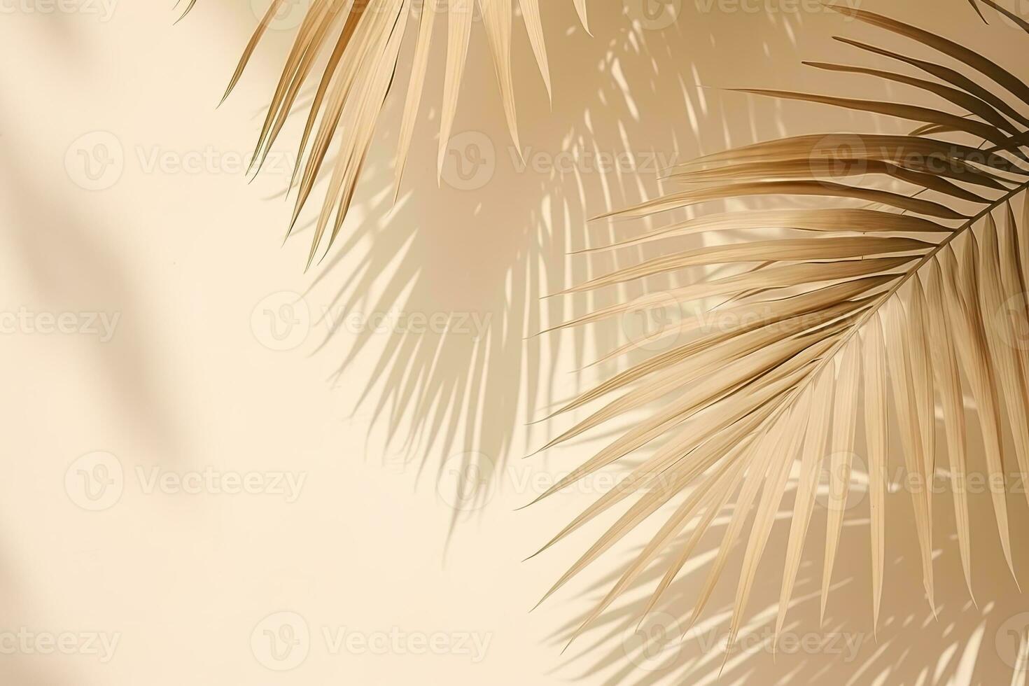 Schatten und Palme Blatt auf ein Pfirsich, orange, Beige, Pastell- Mauer. Hintergrund zum Werbung ein Luxus Produkt. foto