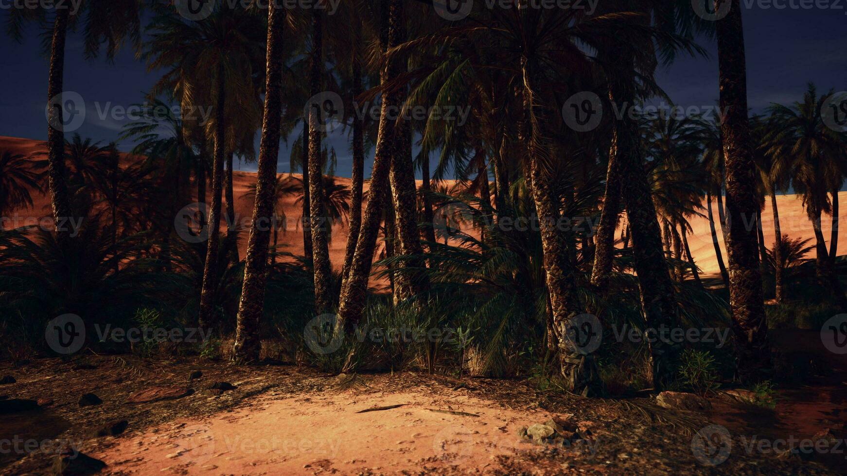 Palme Bäume silhouettiert gegen ein sternenklar Wüste Himmel beim Nacht foto