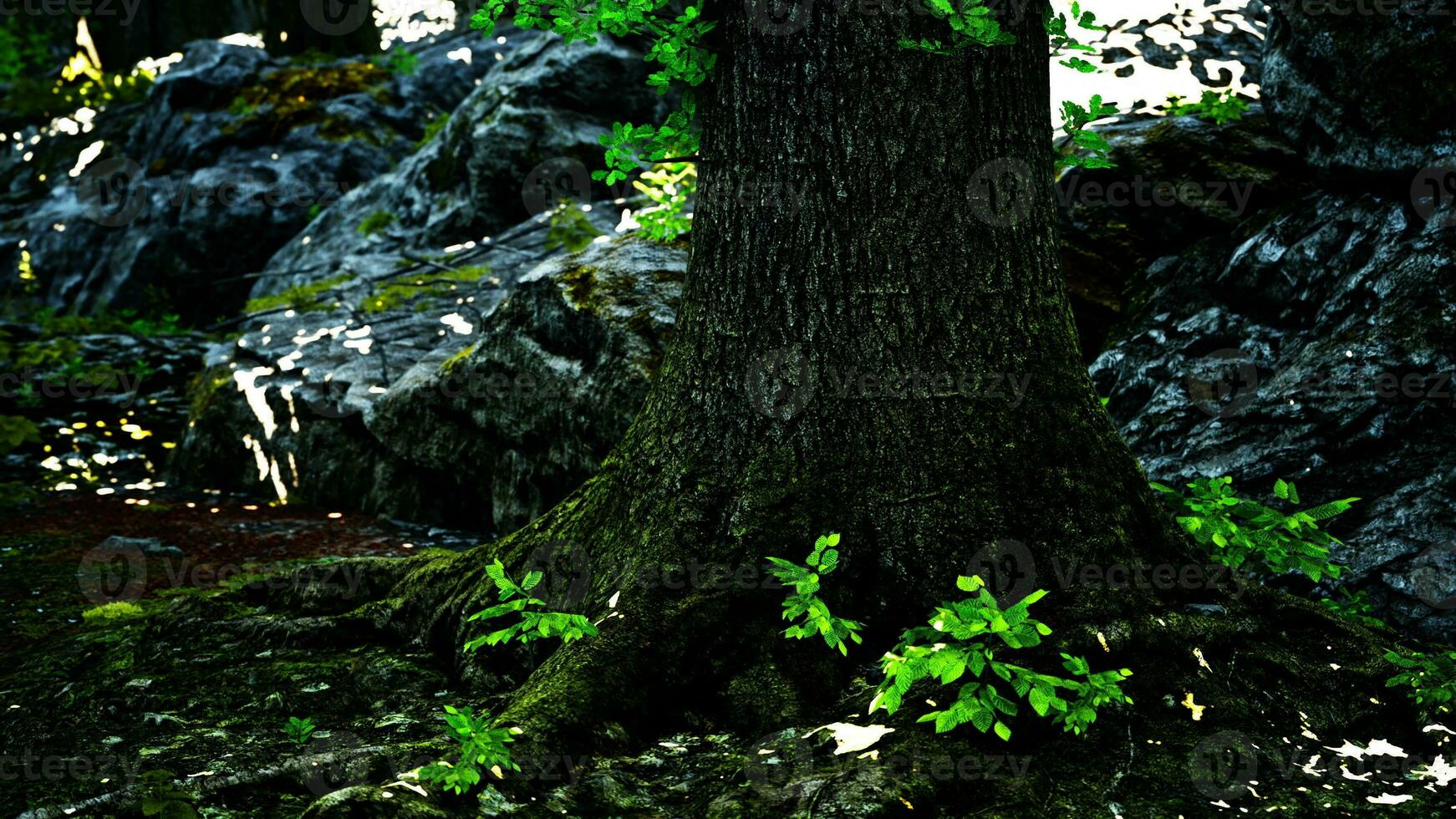 ein majestätisch Baum Stehen hoch im das Herz von ein üppig Wald foto