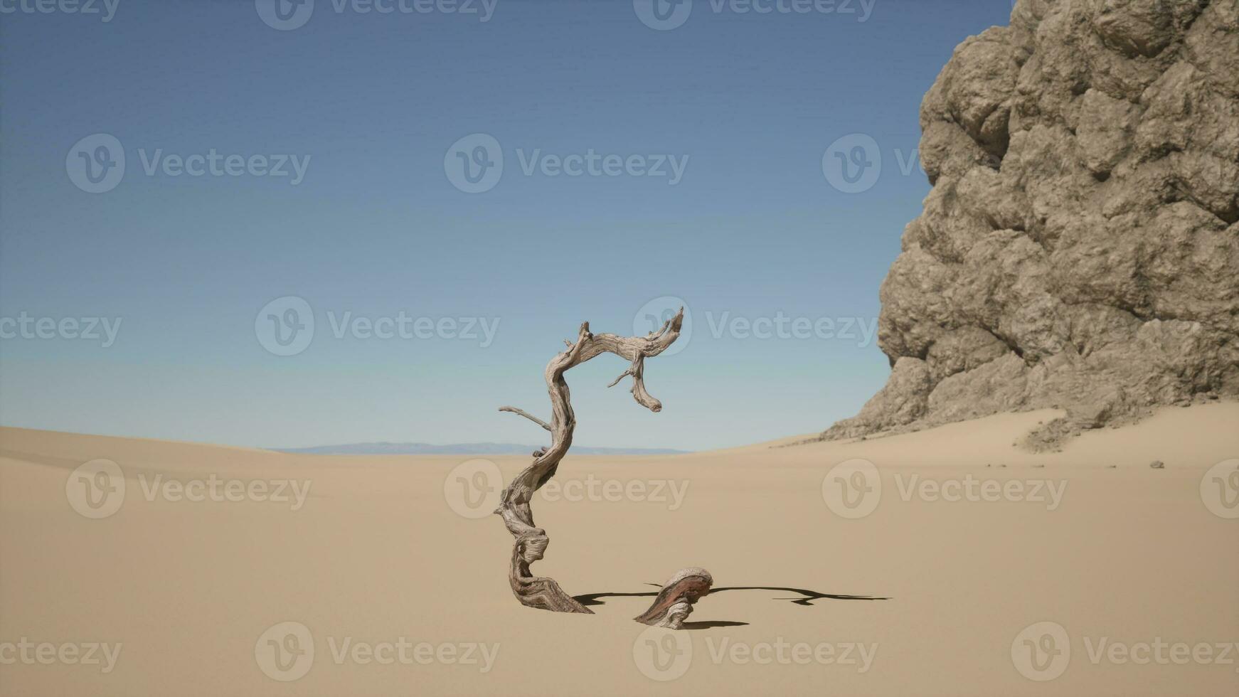 ein tot Baum im das Mitte von ein Wüste foto