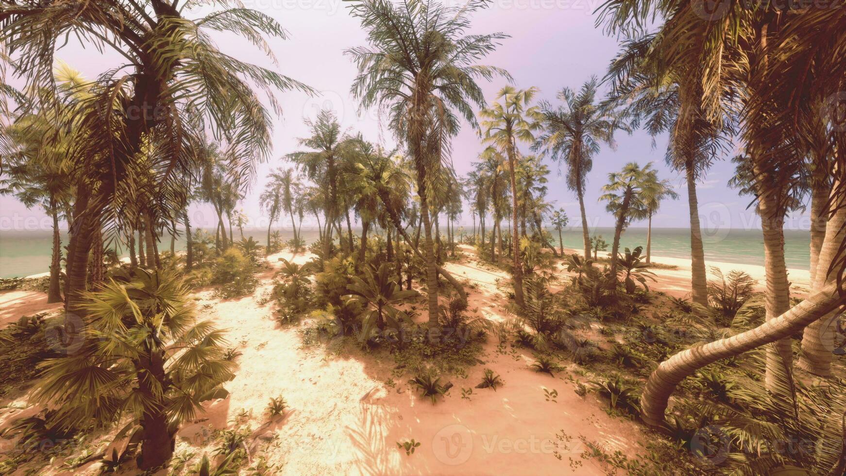 ein heiter Strand mit Palme Bäume schwankend im das Brise foto