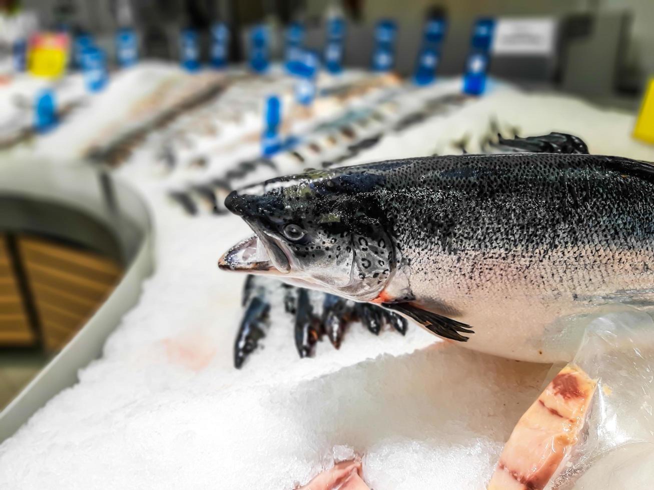 Nahaufnahme von rohem frischem Fisch, der auf Eis im Marktstand für Meeresfrüchte kühlt? foto