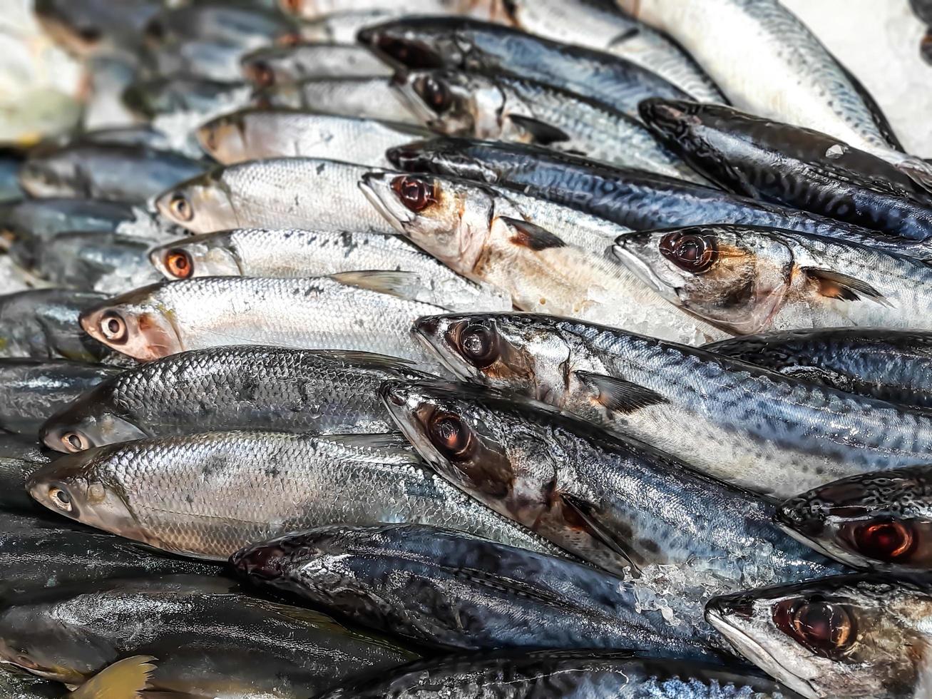 Nahaufnahme von rohem frischem Fisch, der auf Eis im Marktstand für Meeresfrüchte kühlt? foto