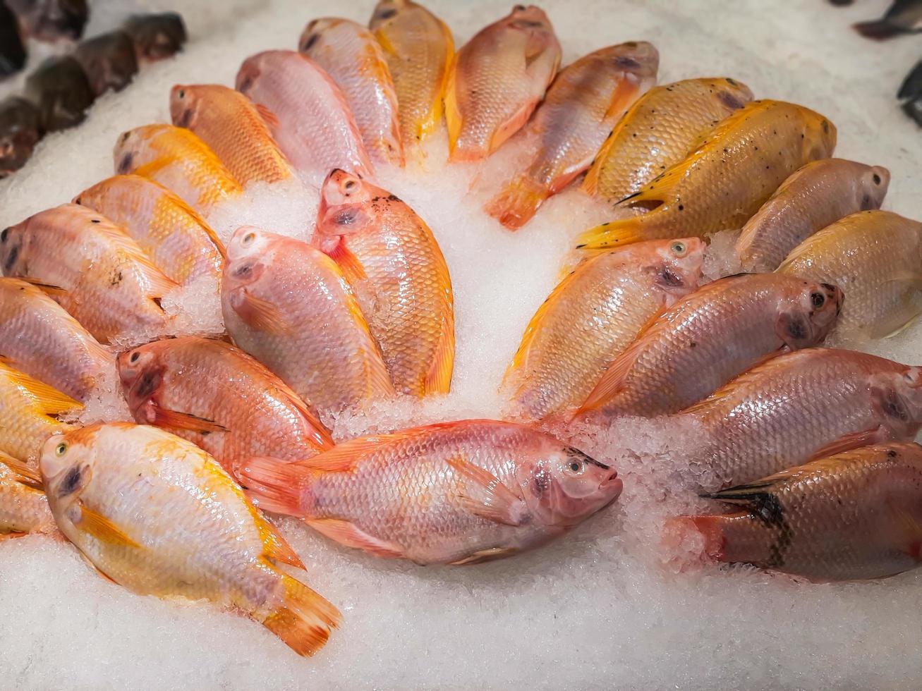 Nahaufnahme von rohem frischem Fisch, der auf Eis im Marktstand für Meeresfrüchte kühlt? foto