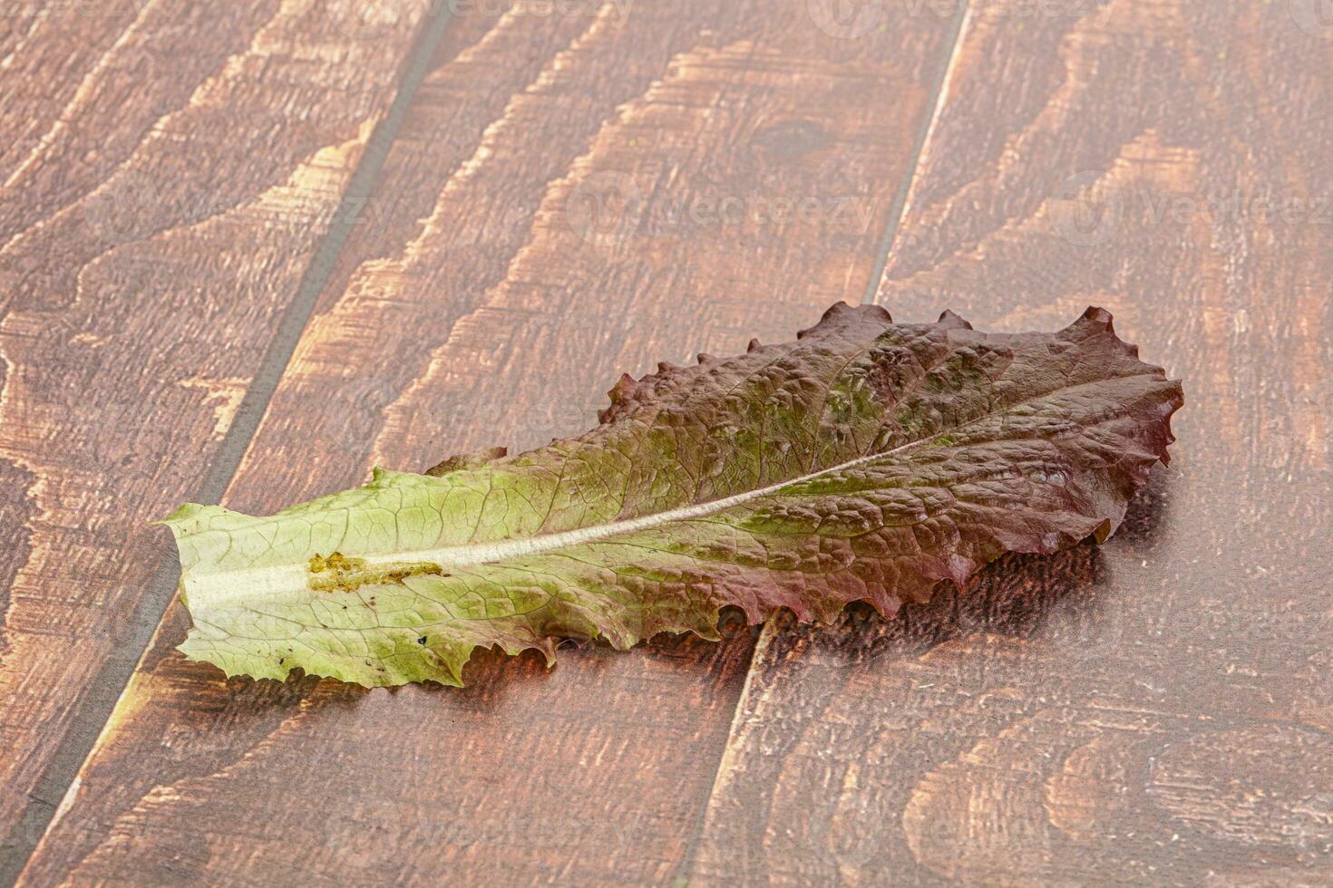 Grün Grüner Salat Salat Blatt isoliert foto