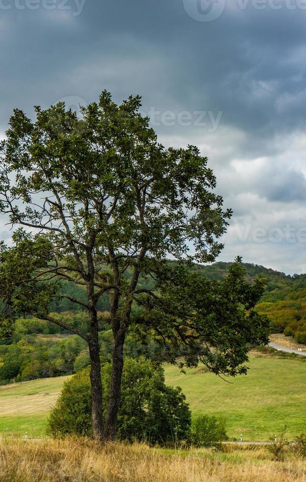 ländliche Kaukasus-Berglandschaft foto