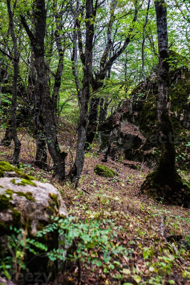 ländliche Kaukasus-Berglandschaft foto