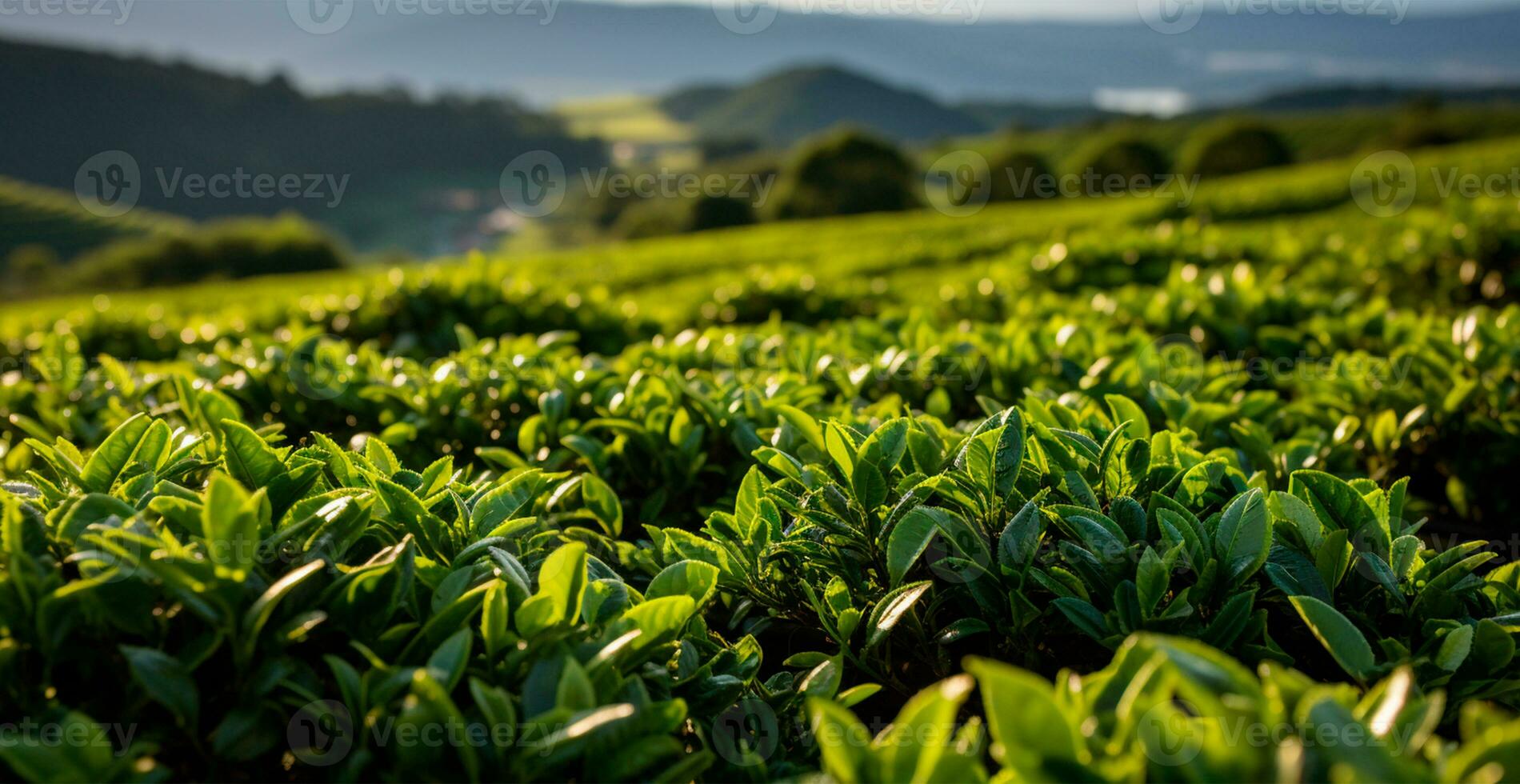 ai generiert Tee Ernte auf ein Plantage im Indien - - ai generiert Bild foto