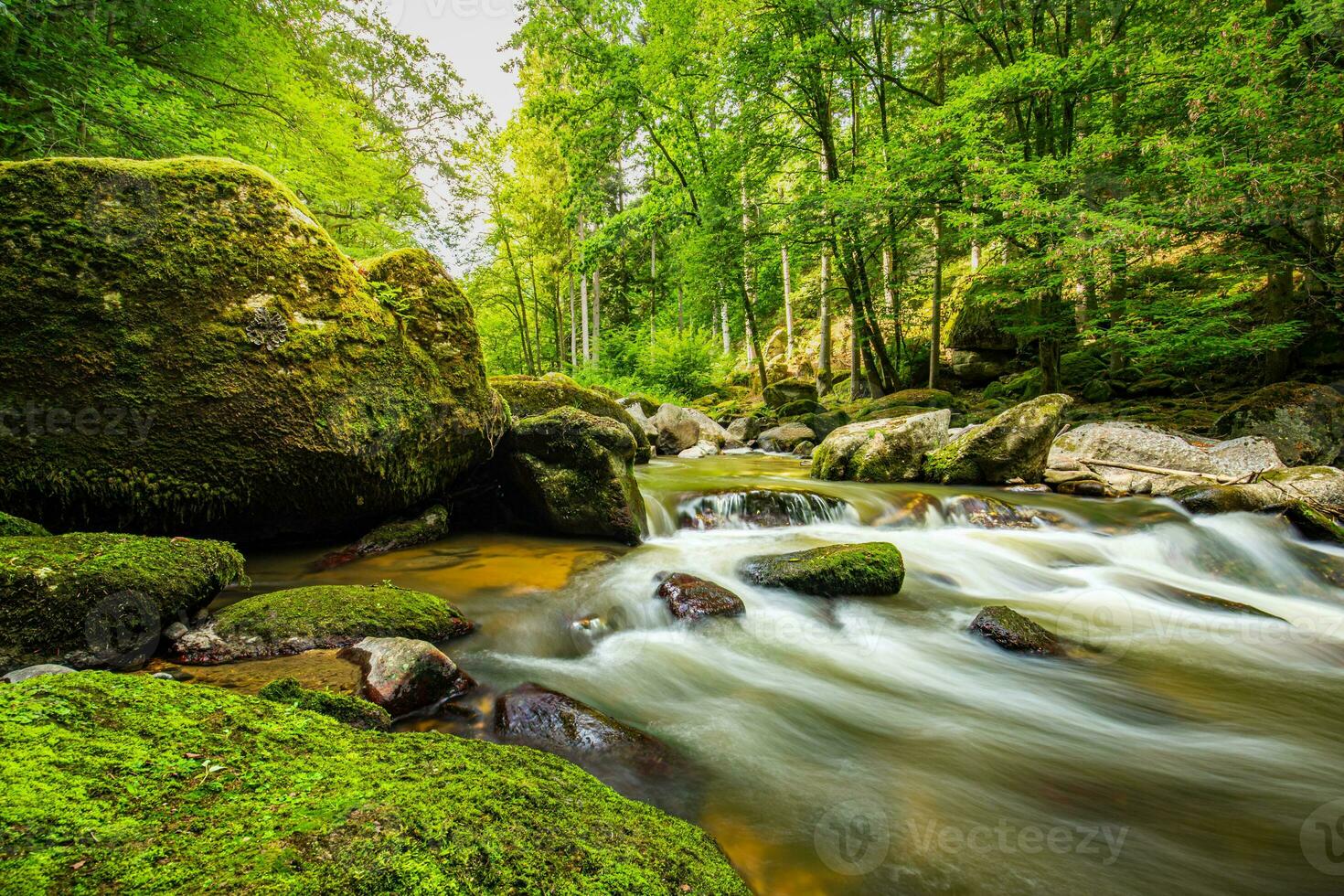 grüner waldbach, strom der alpenberge. schöner wasserfluss, sonnige bunte moosige felsen naturlandschaft. erstaunliche friedliche und entspannende Bergnaturszene, Frühlingssommer-Abenteuerreisen foto