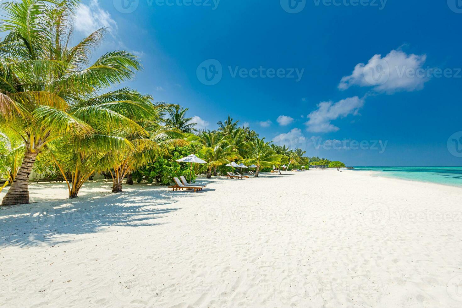 Beste Strände Reise Landschaft, Beliebt Fantastisch Sommer- Ziel. Paradies Insel Strand. tropisch Küste, Nahansicht Meer Wellen Sand Himmel Kokosnuss Palme Bäume. Luxus Ferien Hintergrund. tolle Natur foto