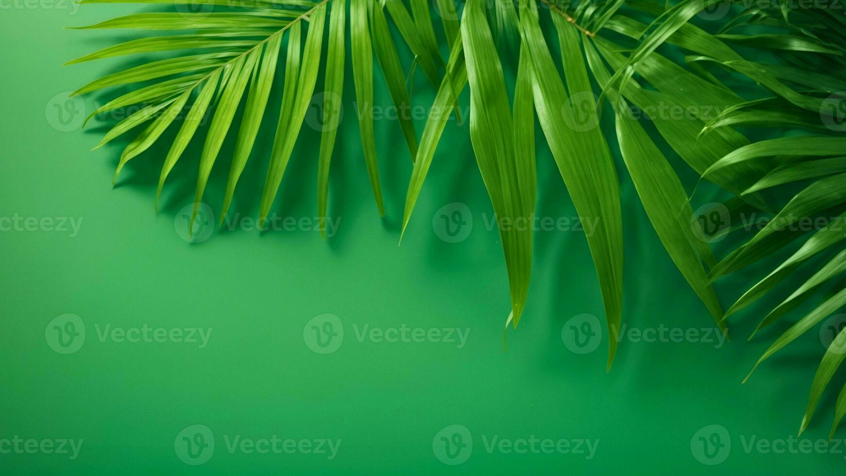 ai generiert tropisch Palme Blätter auf Grün Hintergrund mit Kopieren Raum foto