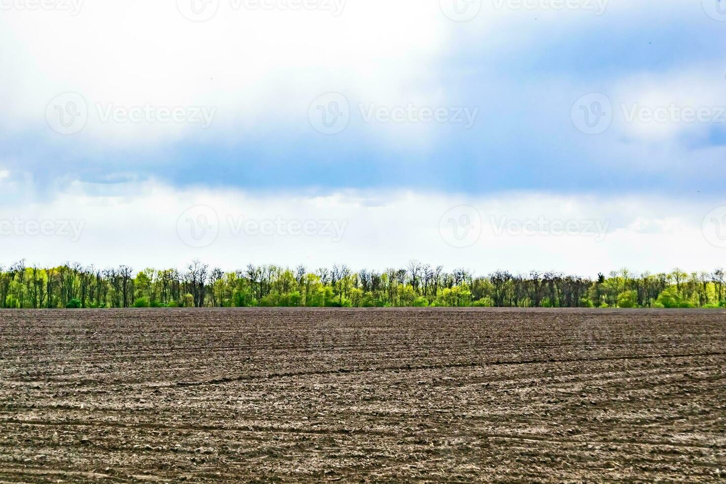 fotografie zum thema großes leeres bauernhoffeld für die organische ernte foto