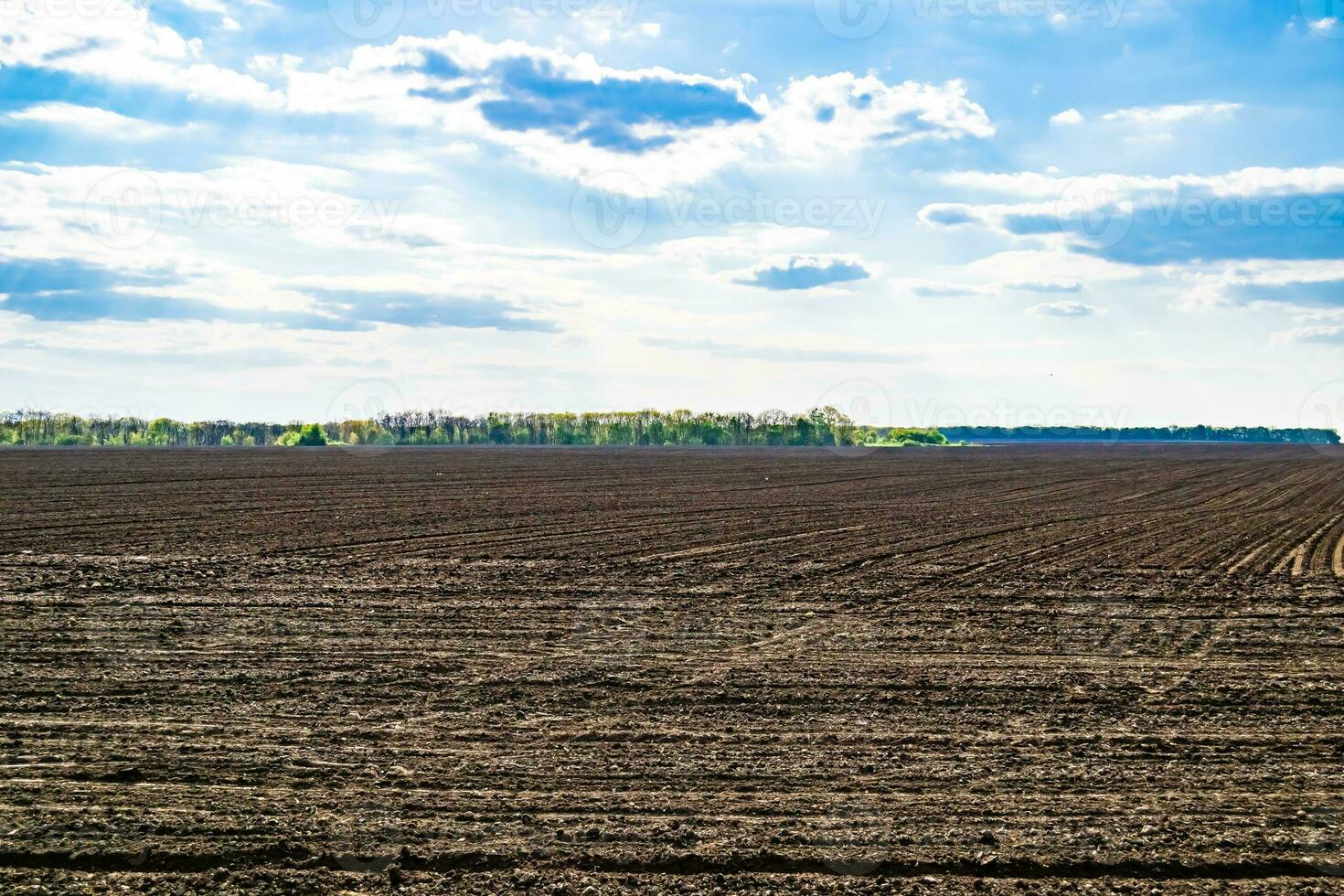 fotografie zum thema großes leeres bauernhoffeld für die organische ernte foto