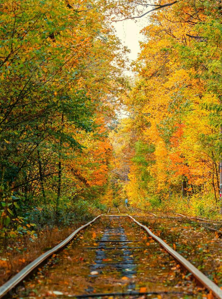 Herbst Wald durch welche ein alt Straßenbahn Fahrten Ukraine foto