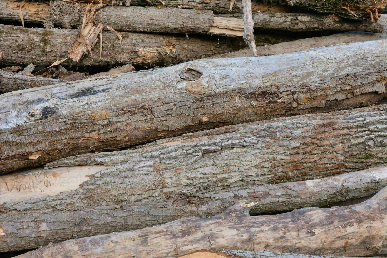 ein Stapel von Protokolle foto