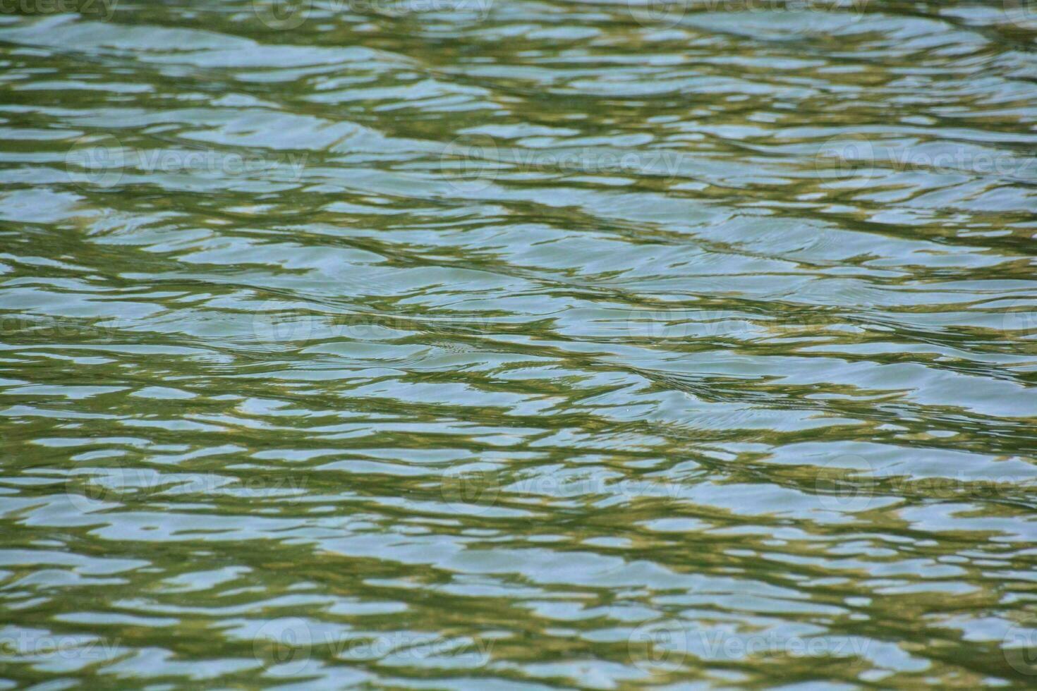 klein Wellen im das Wasser foto