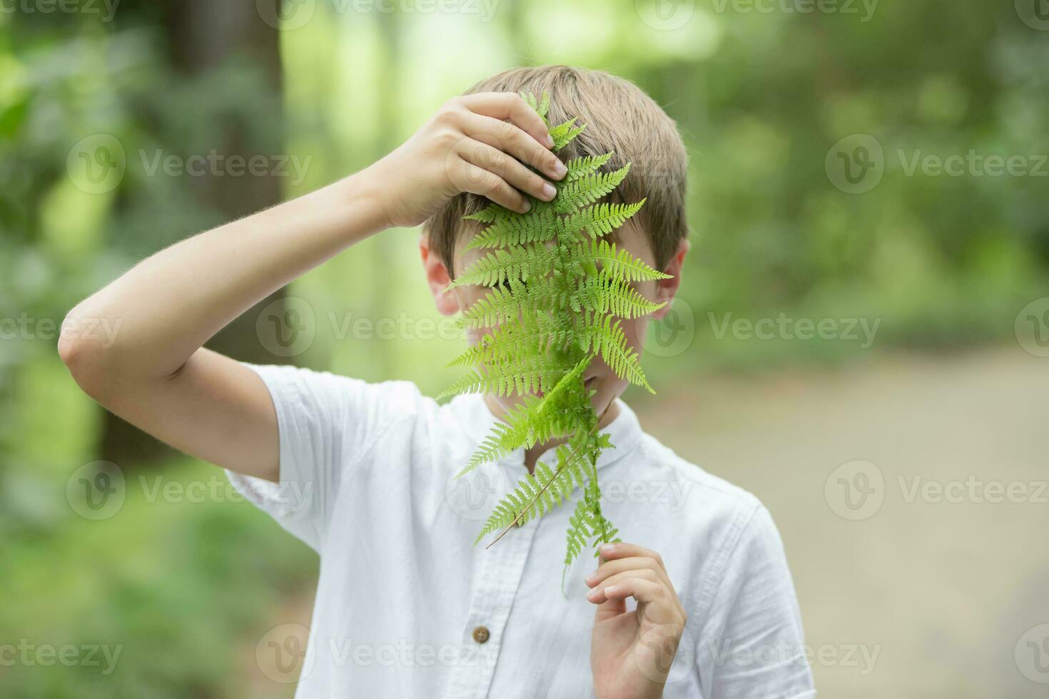 ein gut aussehend jung Junge bedeckt seine Gesicht mit ein Farn Blatt. Kind mit ein Pflanze. foto