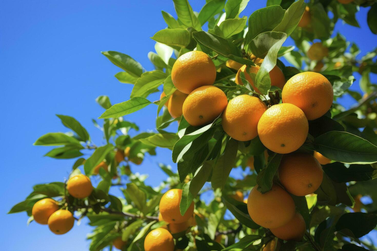 ai generiert Orange Obst auf Baum. ai generiert foto