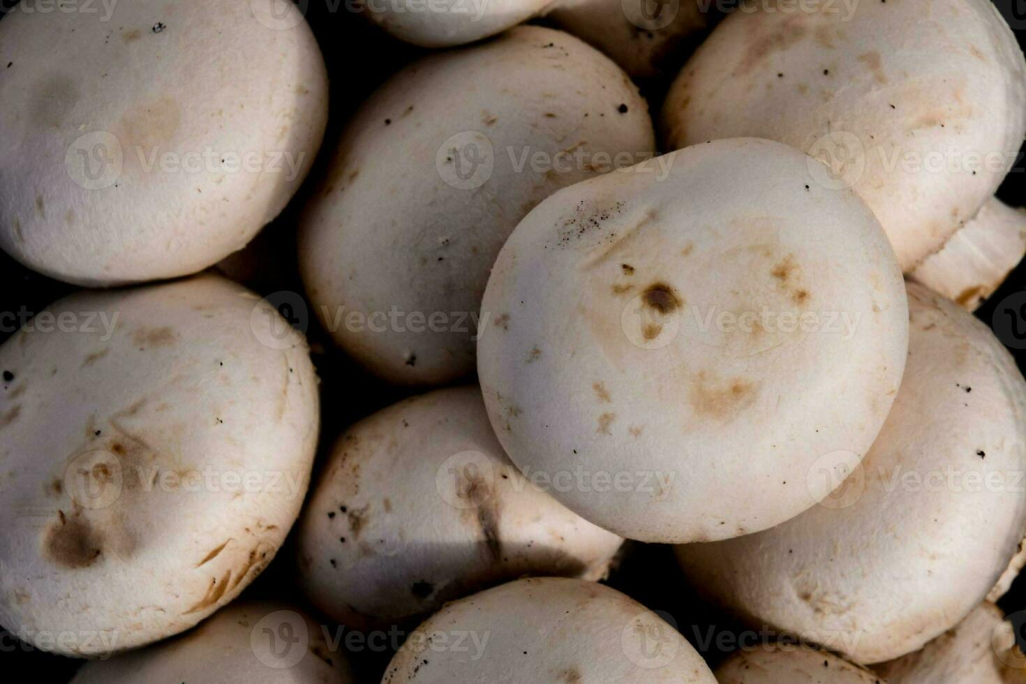 ein schließen oben von ein Stapel von Weiß Pilze foto