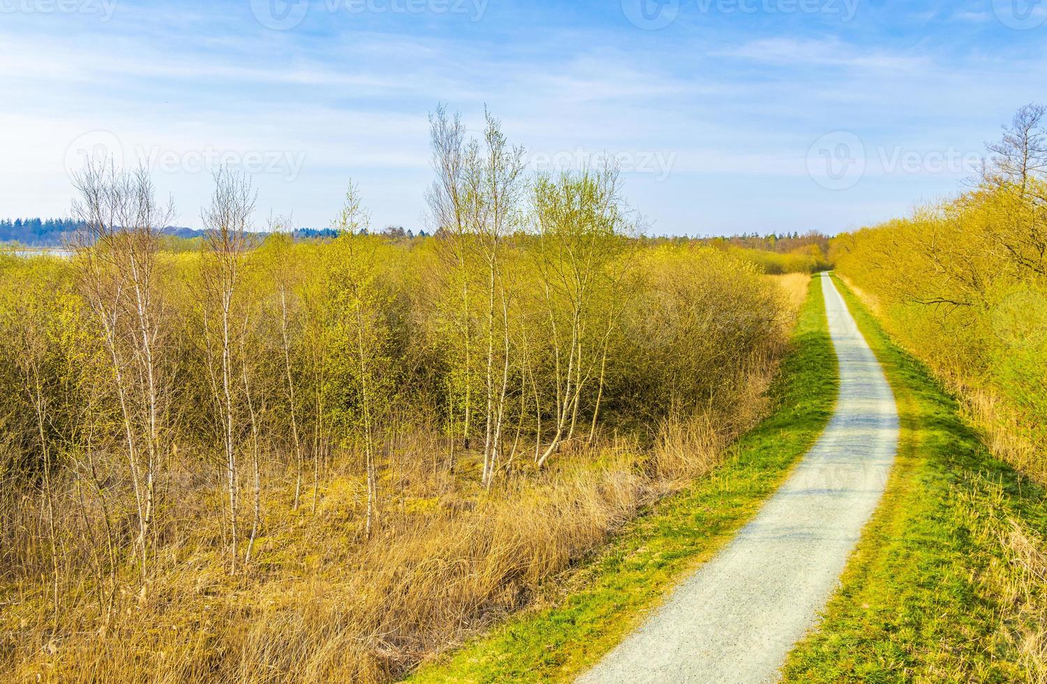 Landschaft bei Bad Bederkesa an einem sonnigen Tag in Niedersachsen, Deutschland foto