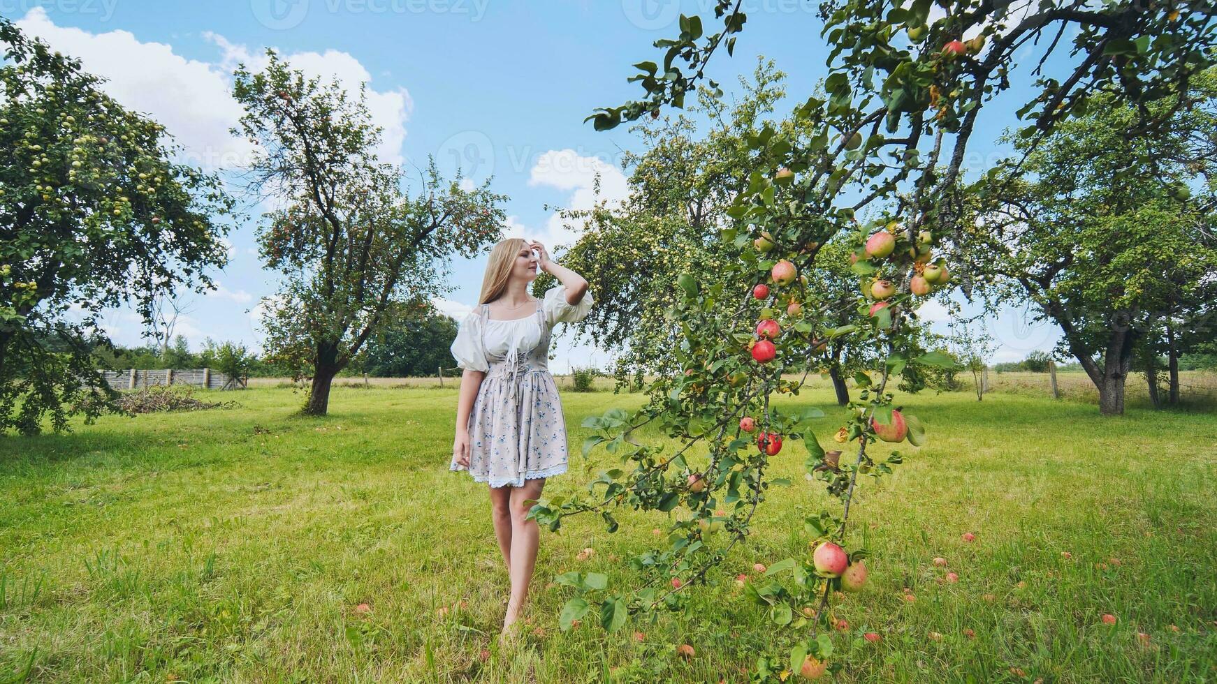 ein Mädchen im ein Weiß Kleid Gehen unter ein Apfel Obstgarten. foto