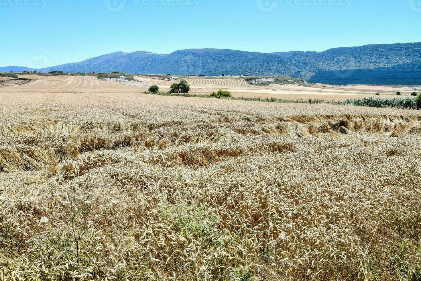 szenisch ländlich Aussicht foto