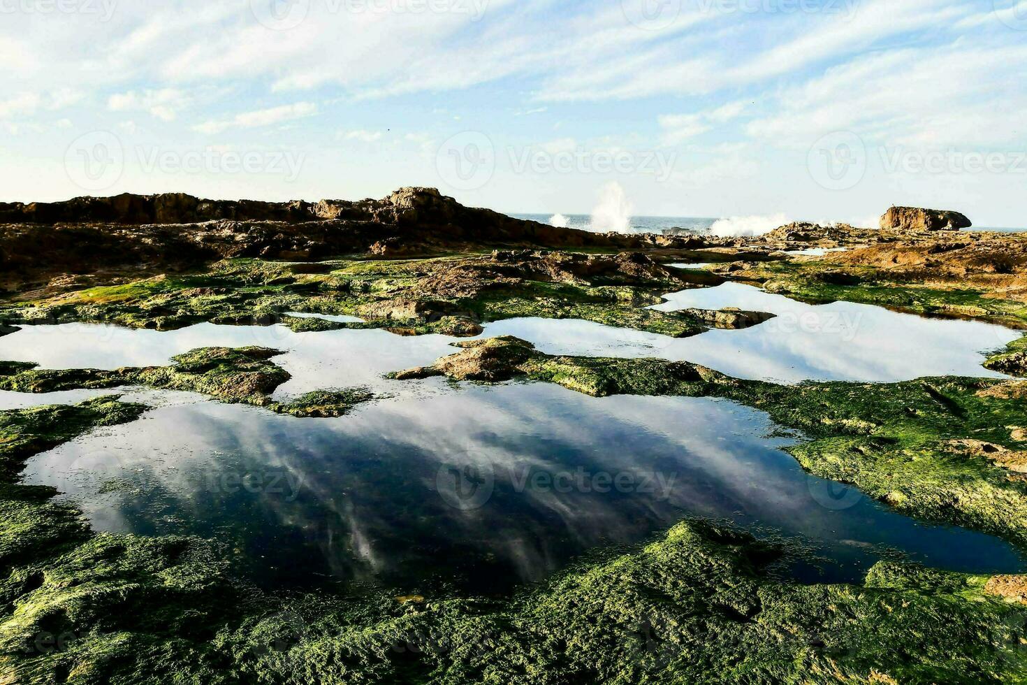 ein Aussicht von das Ozean und Felsen mit Grün Algen foto