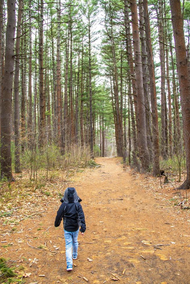 Kind geht einen Weg durch den Wald hinunter foto