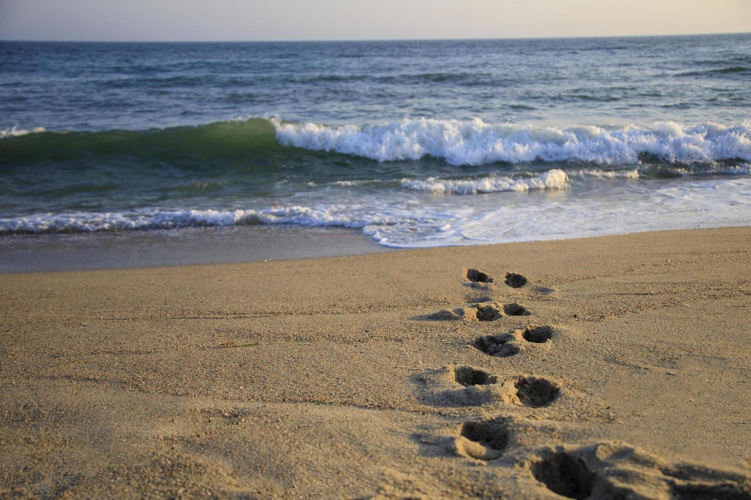 Fußabdrücke an einem Strand, die zu den Wellen führen foto