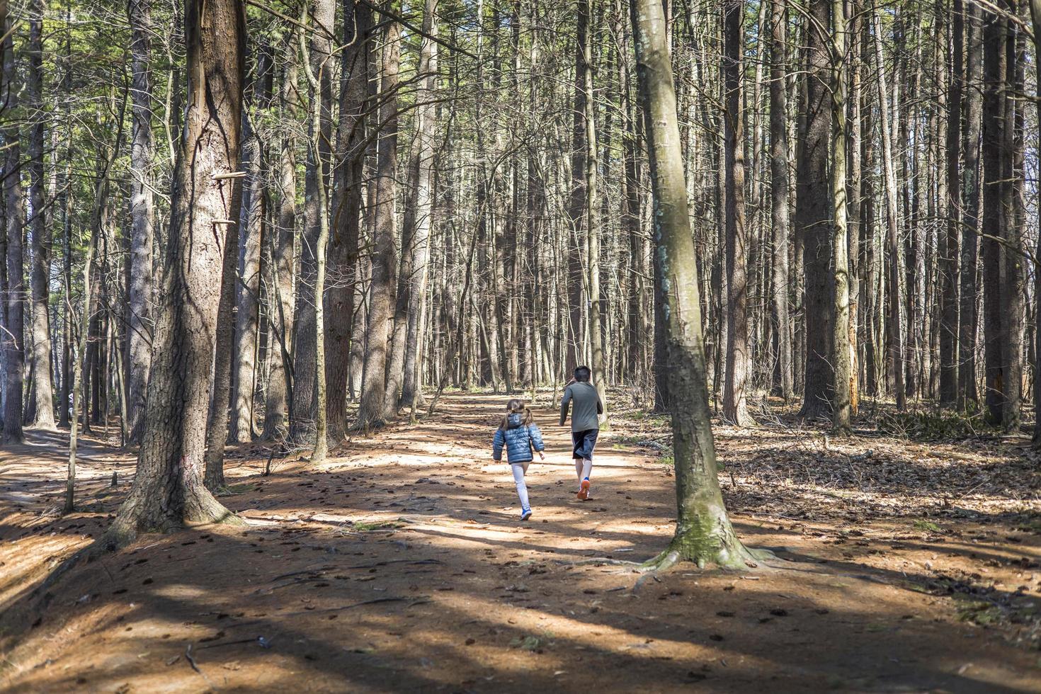 Kinder gehen einen Weg durch die Mitte des Waldes foto