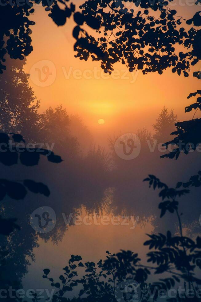 neblig Morgen im das Landschaft von Nord Deutschland foto