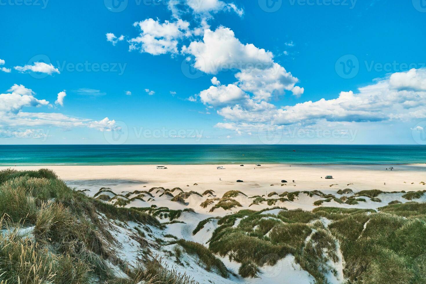 Weiß Dünen im Sommer- im Nord Dänemark foto