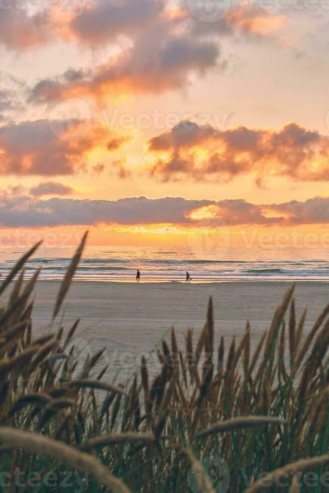 Menschen genießen Sonnenuntergang beim das Küste im Dänemark foto