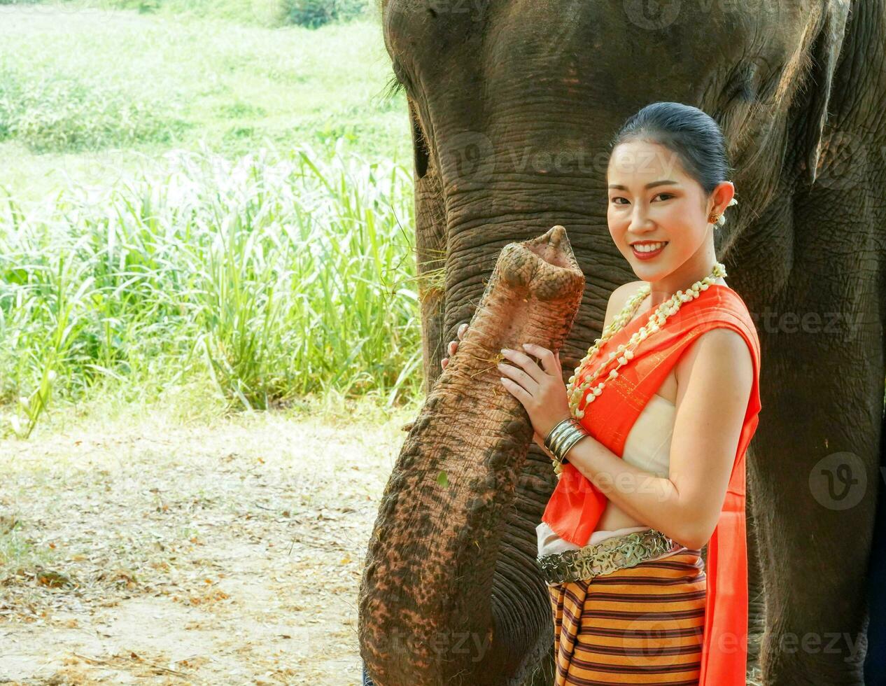 Porträt von schön ländlich thailändisch Frau tragen thailändisch Nord traditionell Kleid zum Foto schießen mit Kofferraum von asiatisch Elefant auf verschwommen Hintergrund.