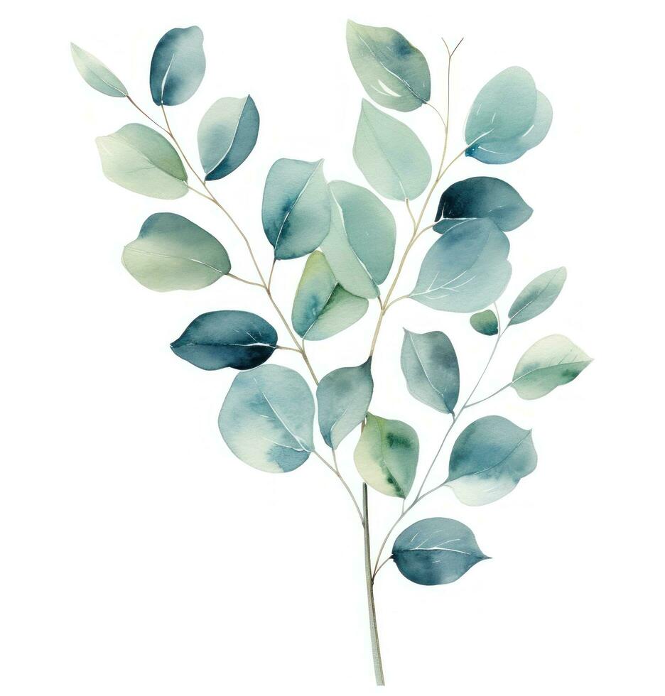 ai generiert Eukalyptus Blätter auf Ast mit Weiß Hintergrund foto