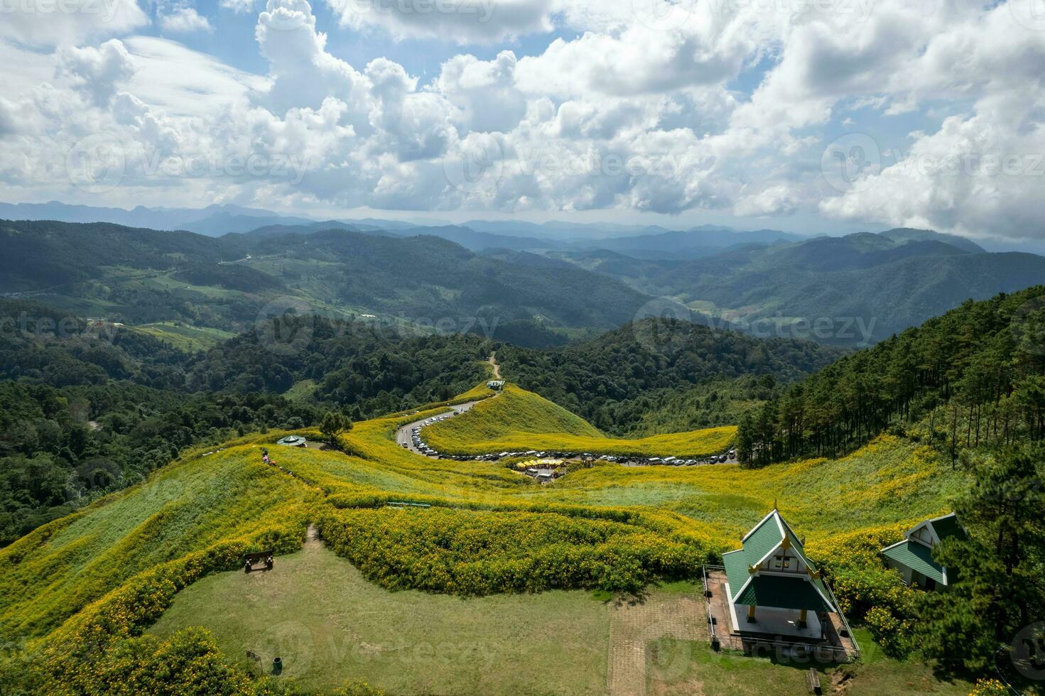 Antenne Aussicht von Mexikaner Sonnenblume Felder auf Berge beim doi mae u kho, mae Hong Sohn, Thailand. foto