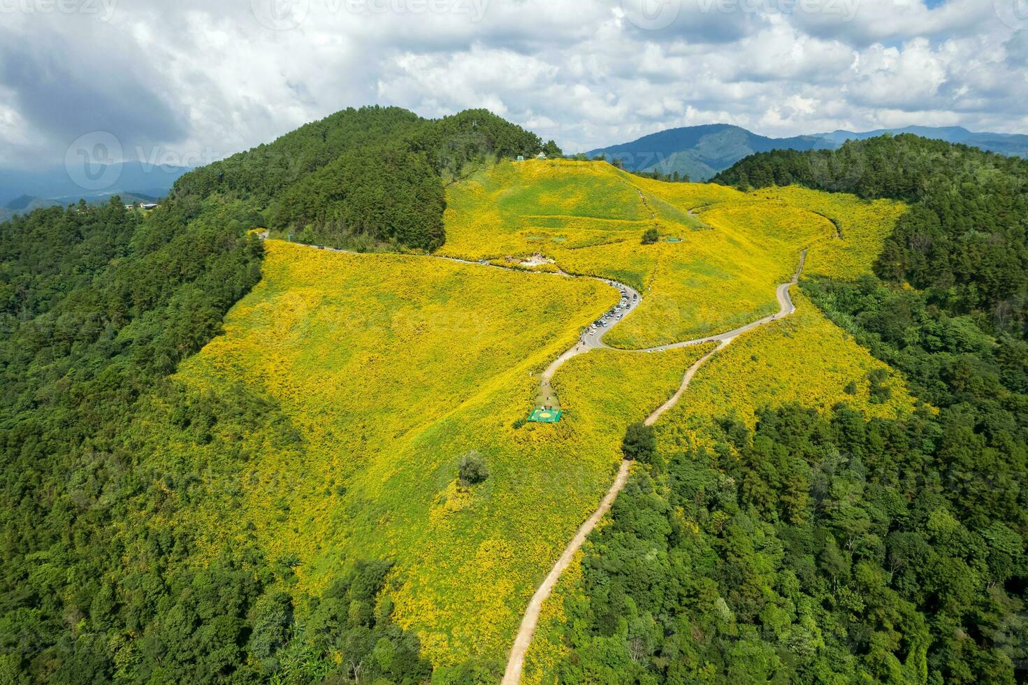 Antenne Aussicht von Mexikaner Sonnenblume Felder auf Berge beim doi mae u kho, mae Hong Sohn, Thailand. foto